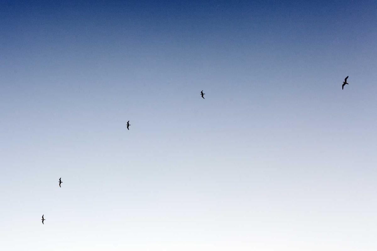 c9c4a7e2-fecb-3493-8363-22f088bab99d